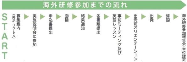 募集案内（掲示・UNIPA）→実施説明会に参加→申込書提出→面接→結果通知→各書類提出→事前ミーティング及び英語レッスン→出発前オリエンテーション→出発→帰国→海外研修参加報告会・単位認定